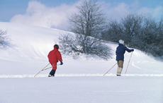 Langlaufen - fit im Schnee unterwegs