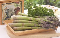 Spargel - oh du schne Spargelzeit 
