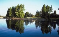 Schatzkammer Natur - heimische Artenvielfalt