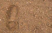 Fruchtbare Erde als knappes Gut? Peak Soil  - die unterschtzte Krise der Bden
