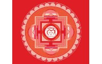 Das Wurzelchakra - Verbindung zur Erde