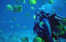 Tauchen und Schnorcheln - ein Abenteuer unter Wasser