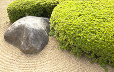 Zen-Meditation - Im Jetzt leben mit ZEN 