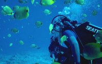 Schnorcheln und Tauchen - den Fischen Hallo sagen