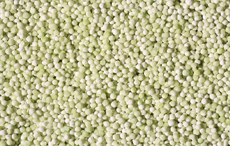 Couscous - ein kleines Stck Orient 