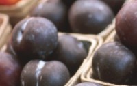 Zwetschken - ein vitaminreiches Frchtchen hat Hochsaison