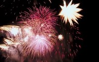 Tiere und Silvester - Des einen Freud, des andren Leid