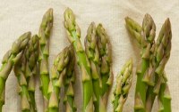 Spargel - eine Stange Gesundheit