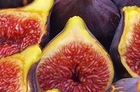 Die Feige - fruchtbare Versuchung