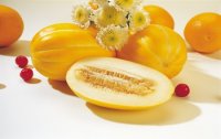 Zuckermelone - Vitaminbombe schlechthin