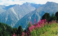 Natururlaub im Nationalpark  - Hohe Tauern und Berchtesgarden