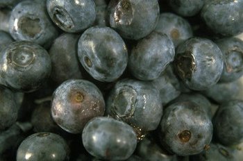 Die Heidelbeere - ein Heilmittel mit langer Tradition in der Volksmedizin