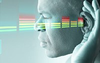 Das Gehr und der Hrvorgang