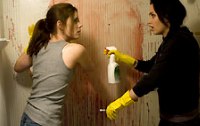 Sunshine Cleaning  - ber eine Heldin des Alltags