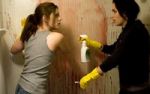 Sunshine Cleaning  - ber eine Heldin des Alltags