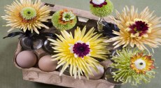 Florale Ostern - Rezepte f�r die optimale Osterstimmung 