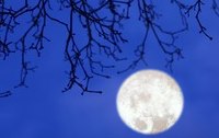 Phnomen Nachtblindheit - wenn es drauen dunkel wird 