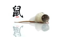 Bestimmung der Chinesischen Zeichen