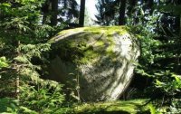 Mystisches Waldviertel - Landschaft der Kraft