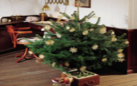 O Tannenbaum  - o fairer Baum