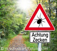 Zeckengefahr