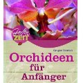 Orchideen