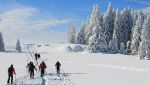 Wintersport